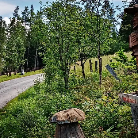 Holiday home Almliesl Bhof-676